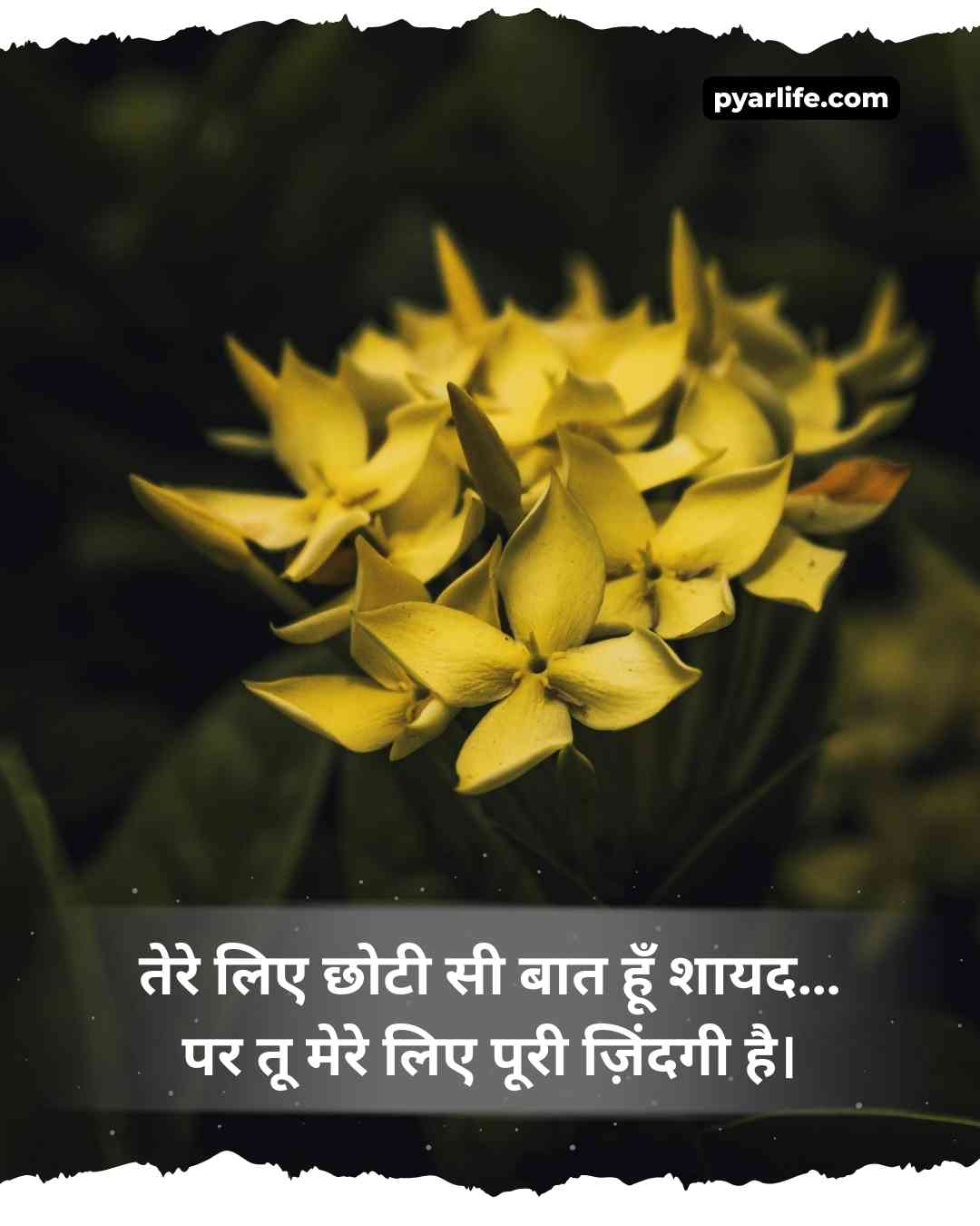 Silent One Sided Love Shayari