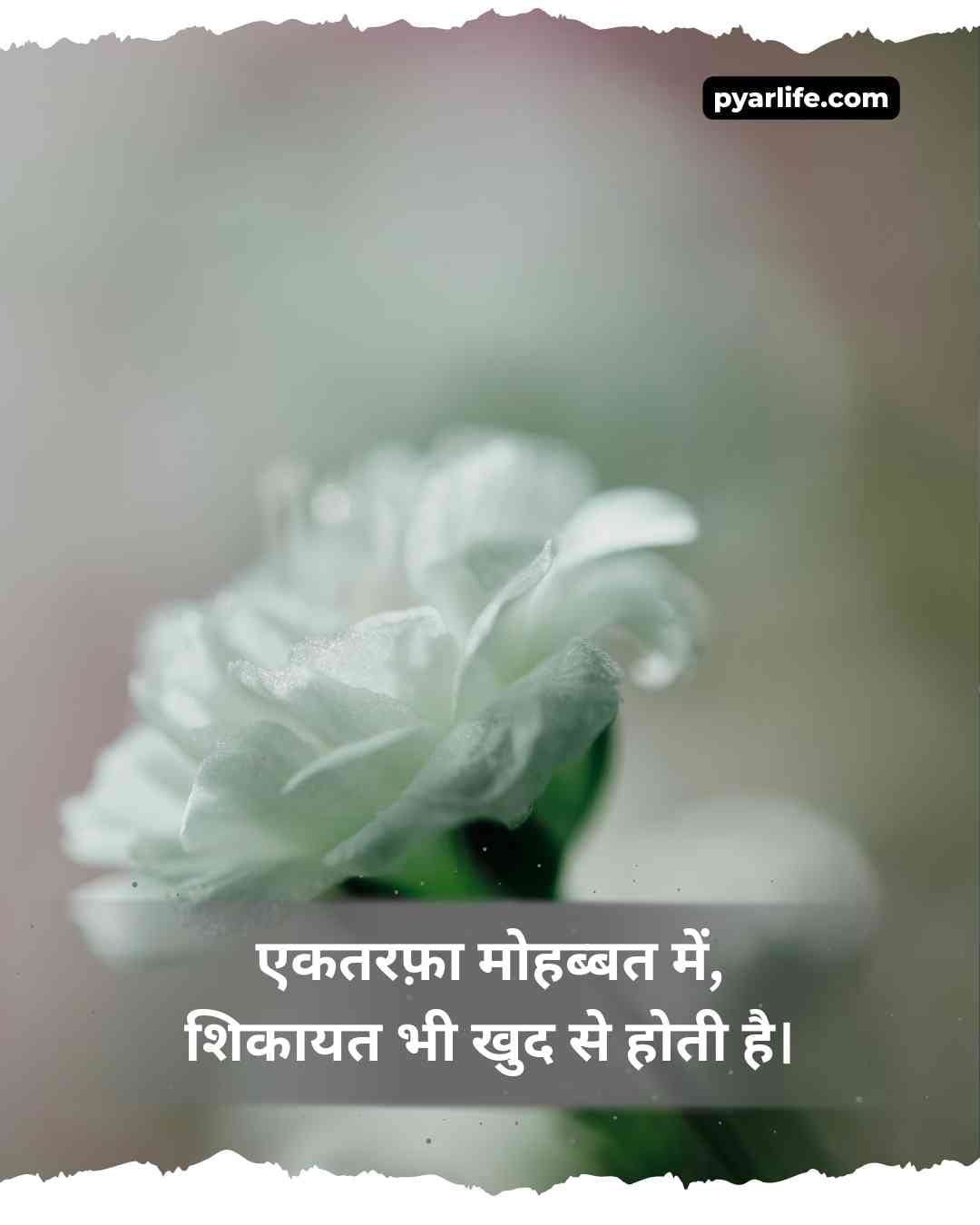 Dil Choo Lene Wali Ek Tarfa Mohabbat Shayari